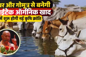गोमाता से ‘जीन क्रांति’ की तैयारी: गोबर-गोमूत्र से बनेगी सुपर खाद, IIT कानपुर की तकनीक से 15 गुना असरदार ऑर्गेनिक फर्टिलाइजर