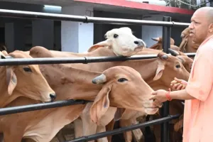 गोशालाओं में IIT कानपुर की तकनीक, गांवों की तस्वीर बदलेगी! गोबर-गोमूत्र से बनेगा ऑर्गेनिक फर्टिलाइजर