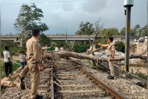 Moradabad News: तेज आंधी, तूफान से हरिद्वार–मोतीचूर रेलखंड पर गिरा पेड़, कुछ देर बाधित रहा रेलखंड