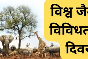  विश्व जैव विविधता दिवस :  विलुप्त होती प्रजातियां और मानव सभ्यता का संकट
