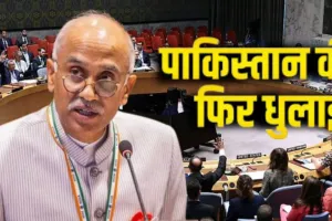  कश्मीर पर न दें ज्ञान... नरसंहार से कलंकित इतिहास,  UNSC में भारत ने पाकिस्तान को दिखाया आईना 