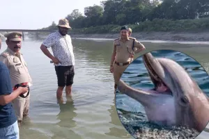  बाराबंकी :  शारदा नहर में फंसी मां-बच्चे डॉल्फिन की मौत, हीट स्ट्रोक की आशंका;रेस्क्यू ऑपरेशन भी फेल