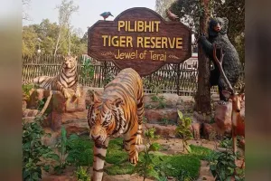 UP: शराब के नशे में मिले पीटीआर के डिप्टी रेंजर पर गिरी गाज, निलंबित