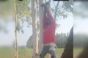 Amroha News : चोरी के शक में जीला-साले को पेड़ से लटकाकर दी तालिबानी सजा, करीब 7 घंटे तक पेड़ से लटके रहे