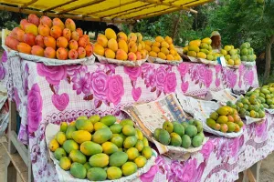 Barabanki News : बाराबंकी के याकूती आम की देश-विदेश में बढ़ी मांग, मसौली के बागों से दुनिया तक पहुंचा अनोखा स्वाद