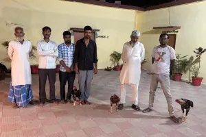 Bareilly News: मुर्गा लड़ाकर हार-जीत की लगा रहे थे बाजी, पुलिस ने गिरफ्तार किए 6 जुआरी