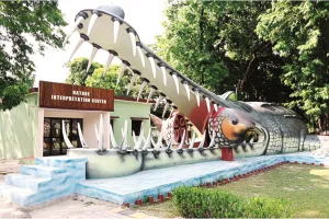कुकरैल में बनेगी देश की पहली नाइट सफारीः 5000 एकड़ का 'ऑक्सीजन हब' ऐसे बना पर्यटकों का पसंदीदा ठिकाना 