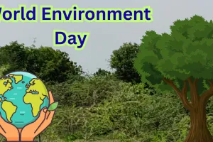 World Environment Day: कागजी दावे छोड़ उन्नाव के वन कर्मियों ने कर दिखाया कमाल... बंजर भूमि को 'सीडबॉल' तकनीक से बनाया 'ऑक्सीजन हब'