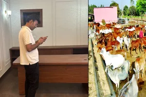Bareilly News : 120 गोशालाओं पर कंट्रोल रूम से 24 घंटे रखी जाएगी नजर