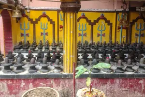 Moradabad News : 40 साल पुराना श्री सीताराम मंदिर, जहां स्थापित हैं 111 नर्मदेश्वर शिवलिंग