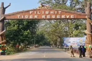 Pilibhit Tiger Reserve : अब सरकारी योजनाओं का लाभ भी दिलाएंगे 'बाघ मित्र', नई जिम्मेदारी के लिए मिलेगा विशेष प्रशिक्षण