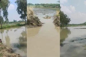 अमेठी में नहर की पटरी कटने से सैकड़ों बीघा धान की फसल जलमग्न, किसानों में हाहाकार