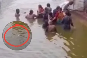 Sitapur News: दधीचि कुंड में जल निकासी ठप, हजारों मरीं मछलियों के बीच डुबकी लगाने को मजबूर श्रद्धालु