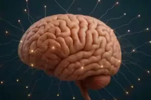 वैज्ञानिक फेक्ट :  हमारा मस्तिष्क हर सेकंड 11 मिलियन बिट्स दर्ज करता है जानकारी 