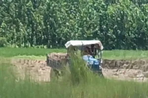 Shravasti News : प्रतिबंध के बावजूद धड़ल्ले से मिट्टी खनन, दिन के उजाले में ट्रैक्टर-ट्राली से ढुलाई; जिम्मेदार बेखबर