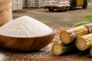  20 दिन में 20 रुपये किलो बढ़े दाम:  चीनी के बढ़ते बेतहाशा दामों पर केंद्र का एक्शन, 1 सितंबर से लागू होगा नया नियम