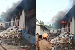 Kanpur News:  सचेंडी में गद्दा फैक्ट्री में भीषण आग, धुएं का गुबार देख मचा हड़कंप