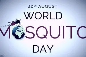World Mosquito Day :  डेंगू से आगे निकला मलेरिया, आठ साल के आंकड़ों में 125% ज्यादा मामले