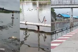 प्रयागराज में बारिश का रौद्र रूप! रामबाग स्टेशन के तीनों प्लेटफॉर्म पानी में डूबे, ट्रेनों का संचालन बंद; रिवरफ्रंट पर कार बही