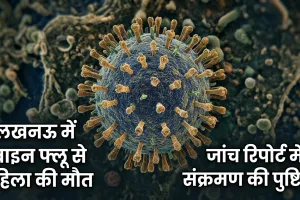 लखनऊ में स्वाइन फ्लू से महिला की मौत:  बलरामपुर में चल रहा था इलाज