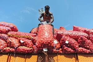 Onion Price : चीनी के बाद अब प्याज ने रुलाया! करीब 59% उछले दाम, सरकार की ‘कांदा एक्सप्रेस’ से कीमतों पर लगेगी लगाम