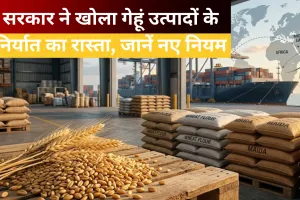 Wheat Export: आटा-मैदा-सूजी के निर्यात से हटा प्रतिबंध, सरकार ने बदले नियम