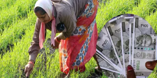 योगी सरकार का बड़ा फैसला : फसल बीमा योजना के लिए 71.44 करोड़ मंजूर, किसानों को मिलेगी राहत 
