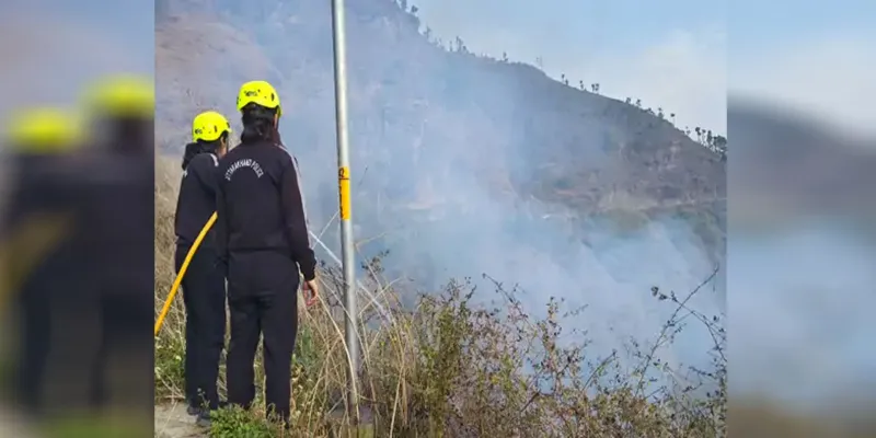 Uttrakhand: बारिश ने आंशिक रूप से बुझाई जंगलों में धधकी आग