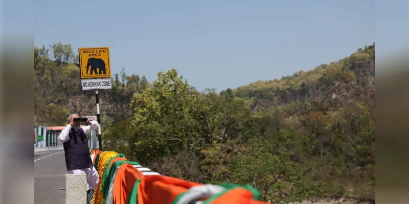 खास तोहफा: खूबसूरत गलियारा, हर किसी को प्यारा, एलिवेटेड वाइल्ड लाइफ कॉरिडोर की बात निराली