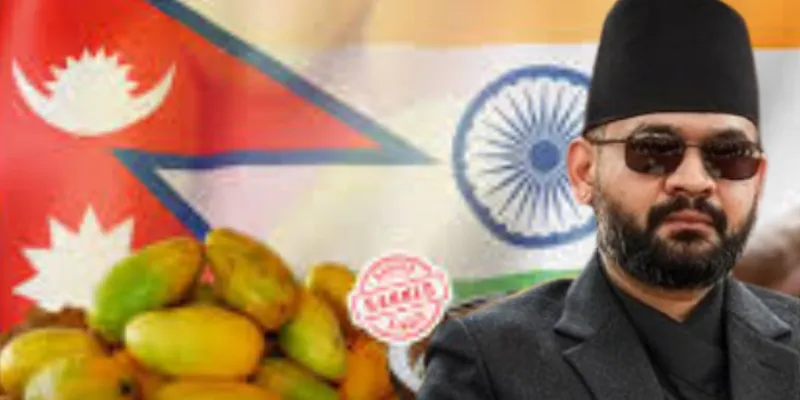नेपाल ने भारतीय आमों के इम्पोर्ट पर लगाया बैन,  बालेन सरकार ने बताई ये बड़ी वजह 
