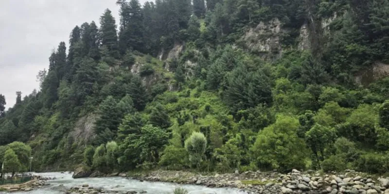 उत्तराखंड में भारी बारिश का कहर, चारधाम यात्रा स्थगित; तीन लोगों की मौत, कई मार्ग प्रभावित