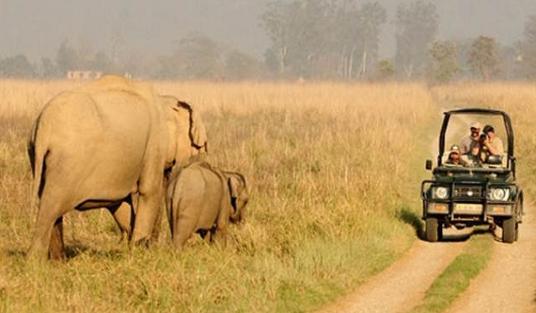 बिजनौर : कॉर्बेट नेशनल पार्क में आज से जा सकेंगे पयर्टक