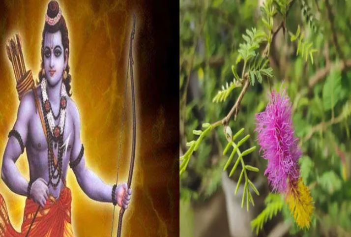 श्री राम ने रावण के वध से पहले किया इस वृक्ष का पूजन, जानें पूजा-विधि और कथा
