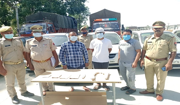 रामपुर : अंतर्जनपदीय वाहन चोर गिरोह का पर्दाफाश, 3 गिरफ्तार