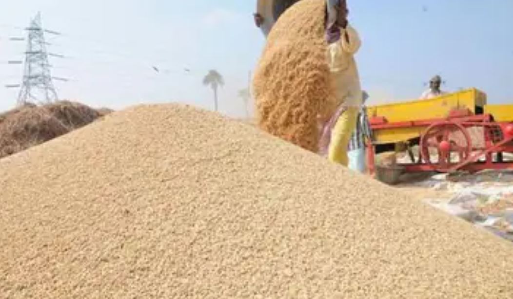 बरेली: धान खरीद में हेराफेरी का खामियाजा भुगत रहे किसान