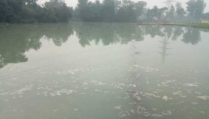रायबरेली: नहर की पटरी कटने से सैकड़ों बीघा फसल पानी में डूबी, किसानों में दिखा आक्रोश