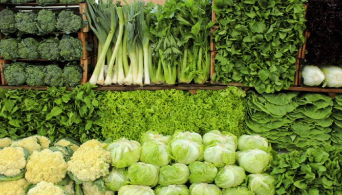 Health tips: गर्मियों में इन सब्जियों को खाने से शरीर रहेगा ठंडा, नहीं होगी पानी की कमी