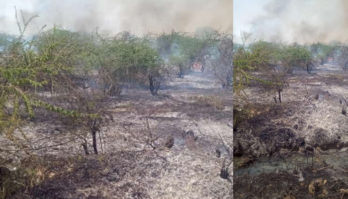 रायबरेली: खीरों में लगातार तीसरे दिन हुई अग्निकांड की घटना, फसल और जंगल हुए राख