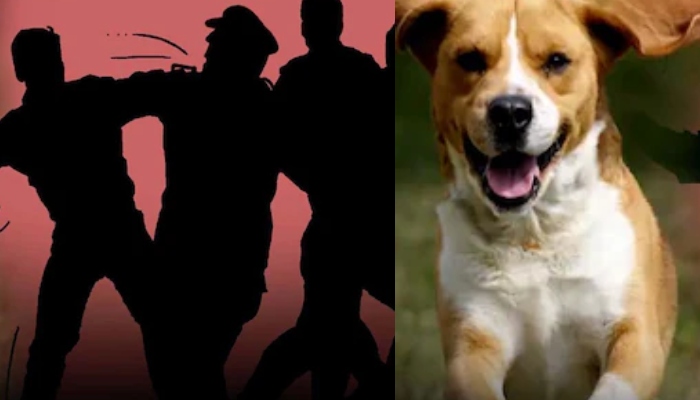 कानपुर: दबंगों ने पुलिस कर्मियों पर किया हमला, आरोपियों ने अपने पालतू कुत्ते से भी कटवाया
