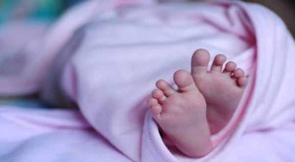 बरेली: झाड़ियों में मिले नवजात बच्चे की उपचार के दौरान मौत