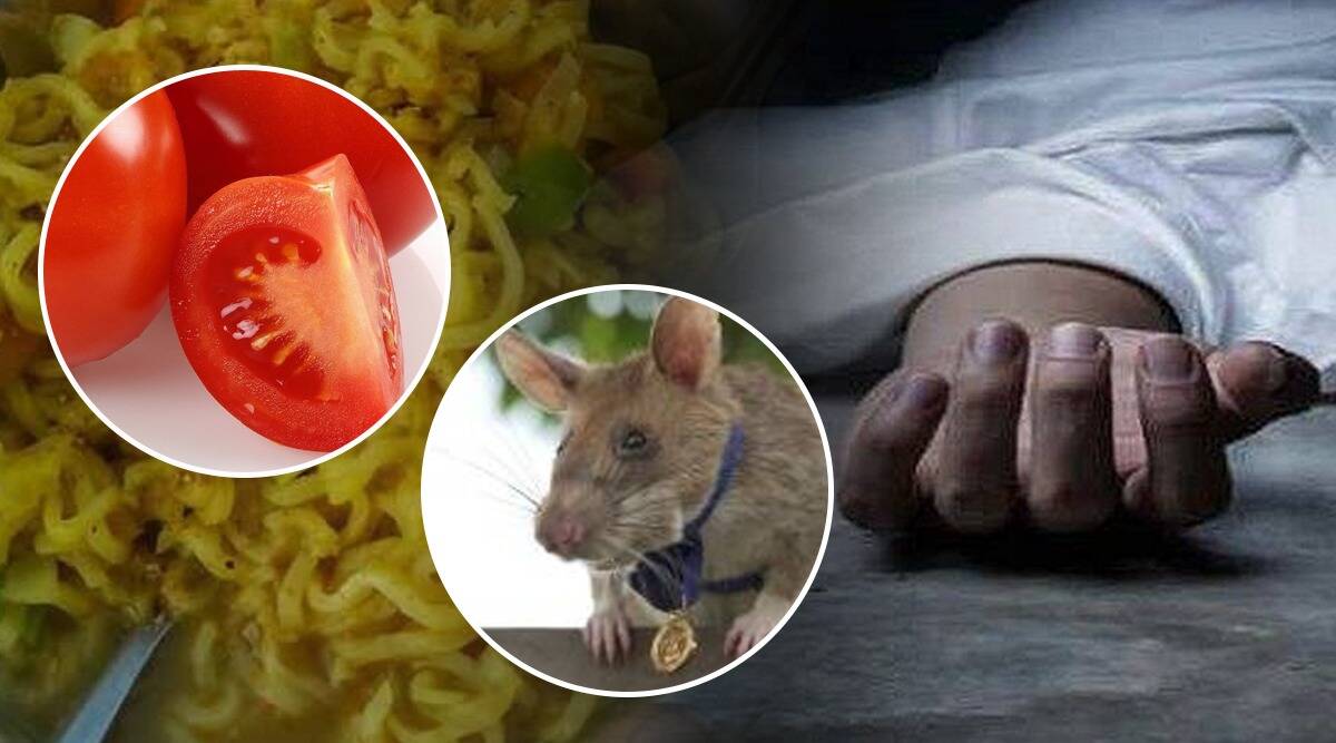 चूहे मारने के लिए टमाटर पर लगाया जहर, खुद मैगी में डालकर खा लिया, हुई मौत