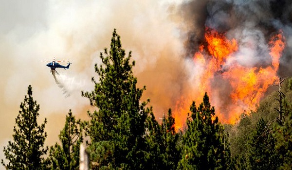 कैलिफोर्निया के जंगल में लगी आग पर पाया काबू, 55 मकान तथा कई इमारतें जलकर खाक