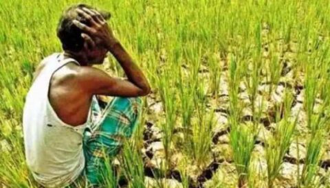 गरमपानी: 2007 में बनी सिंचाई योजना से खेतों में अब तक नहीं पहुंचा पानी, किसान परेशान