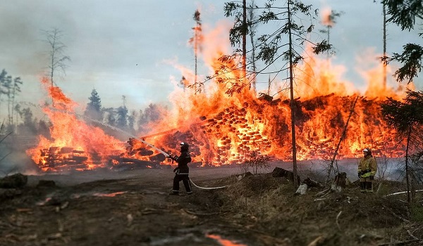 रूस के जंगल में लगी आग, सात आवासीय घरों सहित 60 इमारतें जल कर खाक