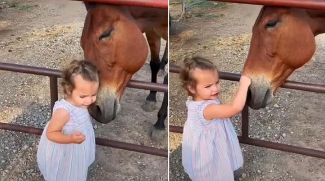 बच्ची और घोड़े की अनोखी दोस्ती को देख यूजर्स हुए हैरान, वायरल हुआ वीडियो