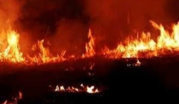 पाकिस्तान : बस-टैंकर की भिड़ंत के बाद लगी आग, जिंदा जल गए 20 लोग
