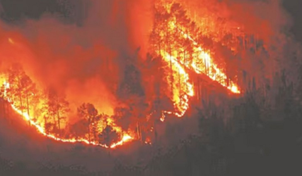 फ्रांस के बोर्डिओक्स के पास लगी भीषण आग, सात हजार हेक्टेयर से ज्यादा जंगल नष्ट