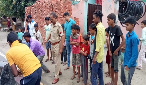 अमरोहा: अज्ञात वाहन की टक्कर से दो गोवंशीय पशुओं की मौत