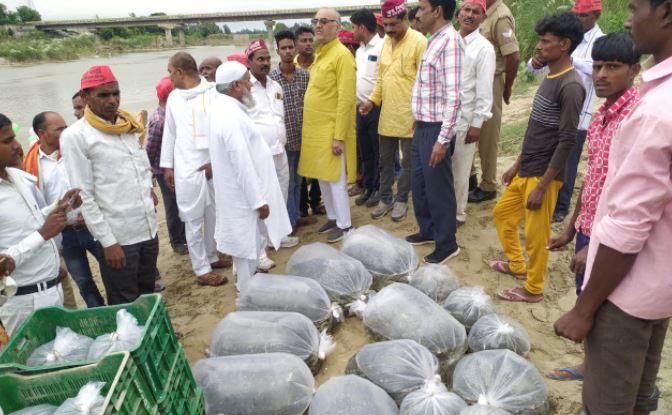 शाहजहांपुर: गर्रा नदी में डाली गई इंडियन मेजर कार्प प्रजाति की दो लाख मछलियां