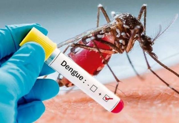 Pakistan: पाकिस्तान में अब डेंगू बना आफत, नौ लोगों की मौत, बुखार के 3830 मामले दर्ज